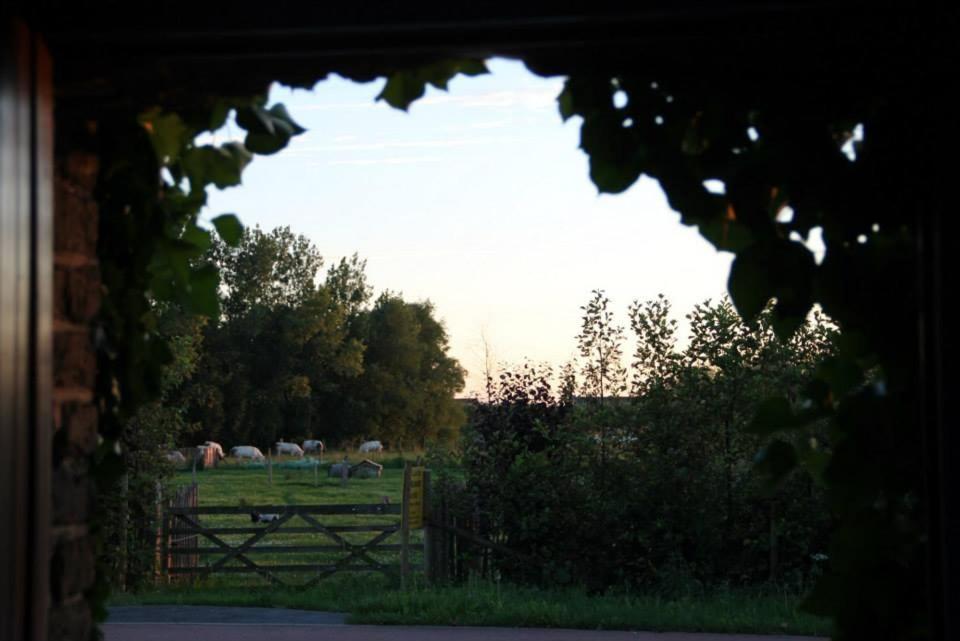 Villa Polder 27 Oudenburg Exterior foto